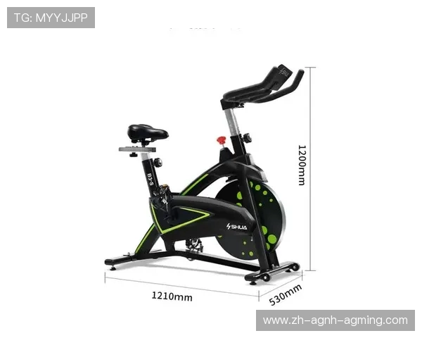 室内健身常用运动器械与器材种类大全