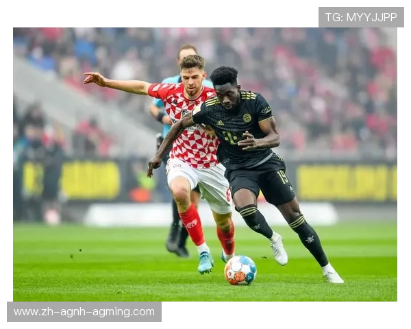 德甲球队照片：经典瞬间与球员风采